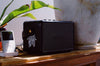 Discover the Ultimate Vintage Classic Speaker