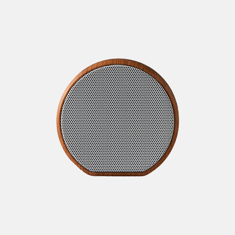 Multiroom Wall Speaker