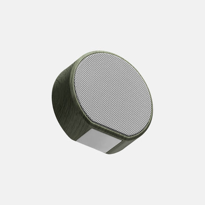 Multiroom Wall Speaker