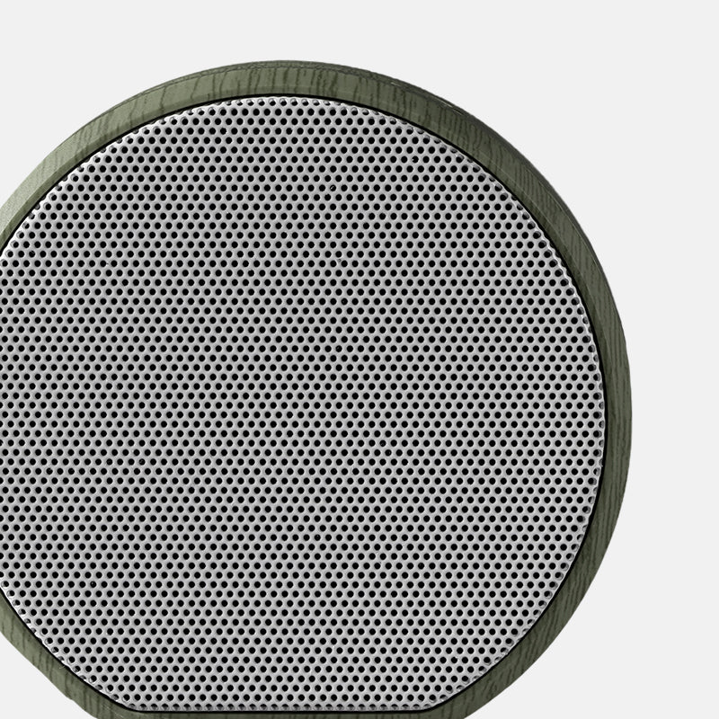 Multiroom Wall Speaker