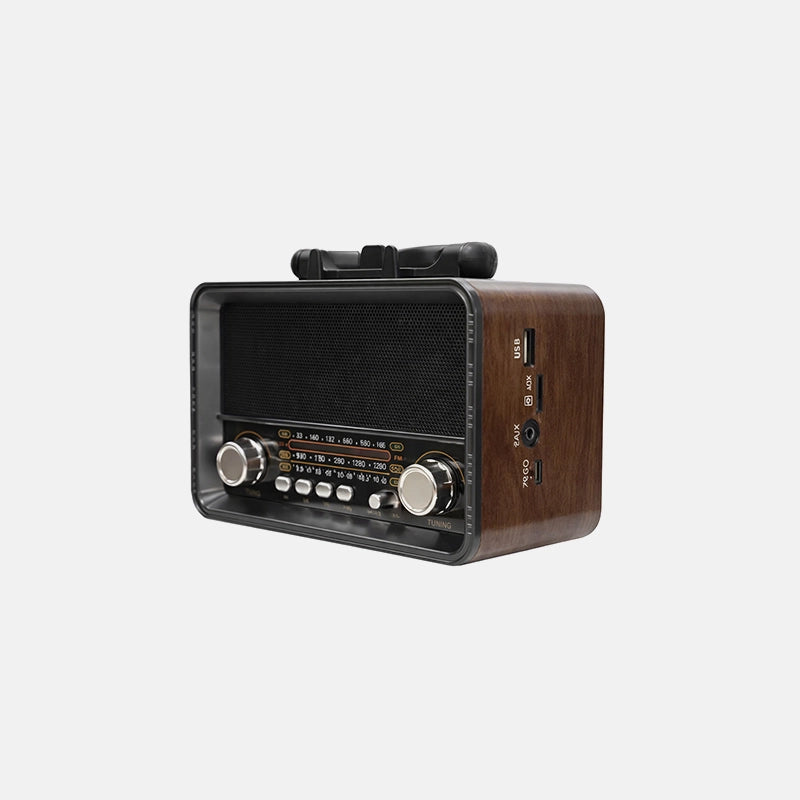 Retro Style Radio Speaker
