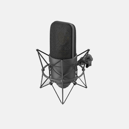 Microphone With Holder