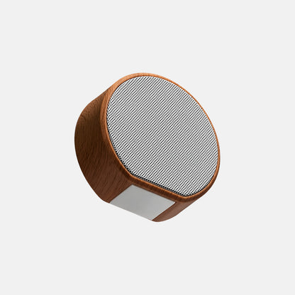 Multiroom Wall Speaker
