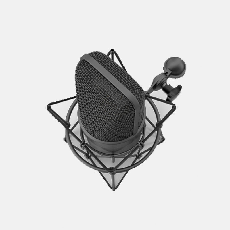 Microphone With Holder