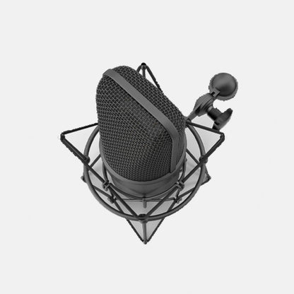 Microphone With Holder