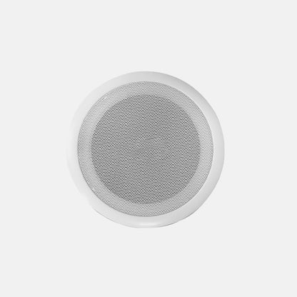 Enclosed Ceiling Speaker