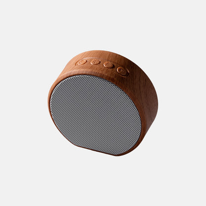 Multiroom Wall Speaker