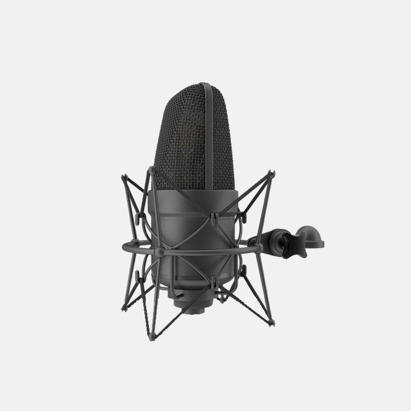 Microphone With Holder