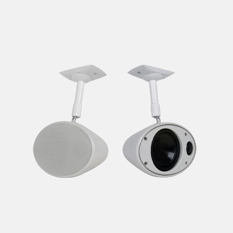 Enclosed Ceiling Speaker