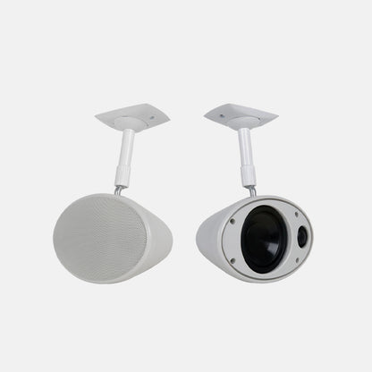 Enclosed Ceiling Speaker