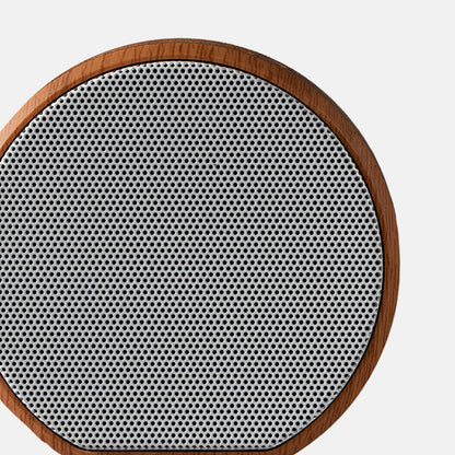 Multiroom Wall Speaker