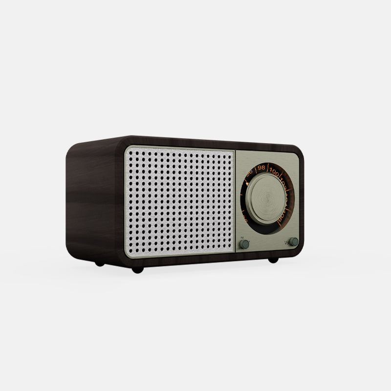 Vintage Radio With SD/USB
