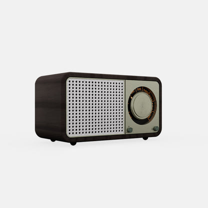 Vintage Radio With SD/USB