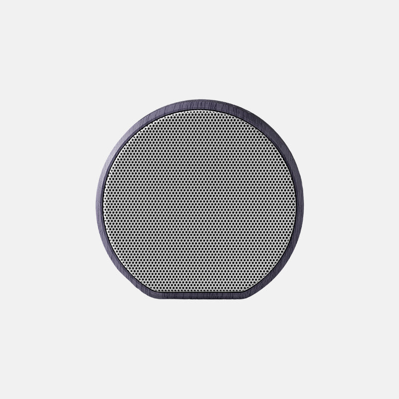 Multiroom Wall Speaker