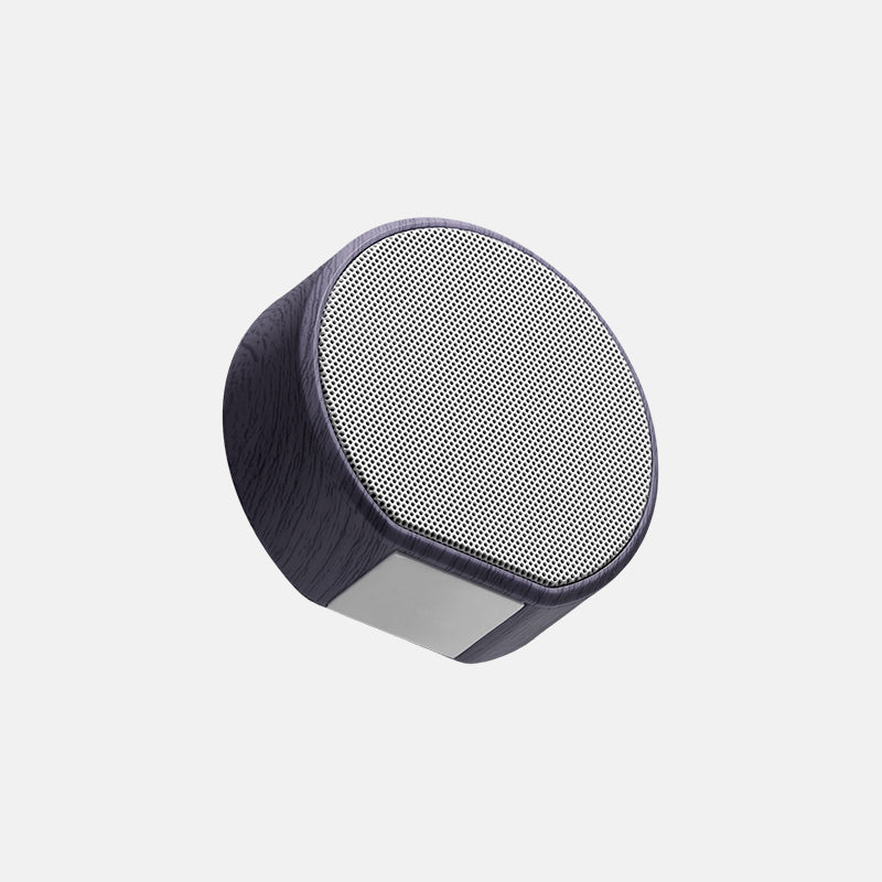 Multiroom Wall Speaker