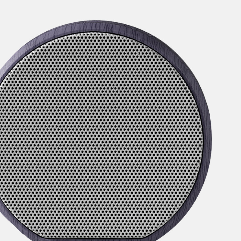 Multiroom Wall Speaker