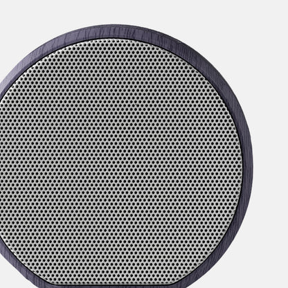 Multiroom Wall Speaker