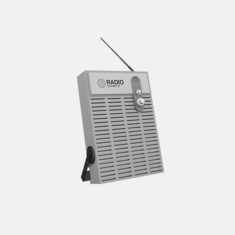 Fm Radio Bluetooth Speaker