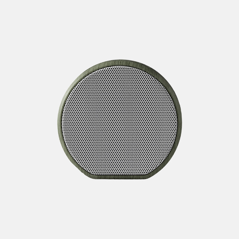Multiroom Wall Speaker