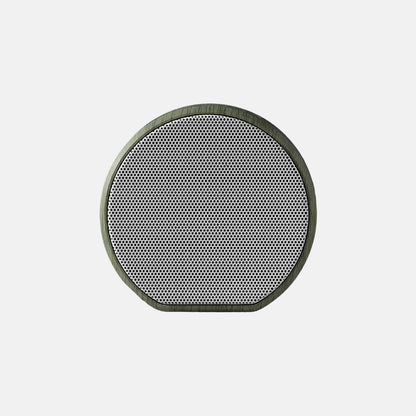Multiroom Wall Speaker